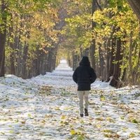 أبغى اجرب افوز في تويتر (@f634729) 's Twitter Profile