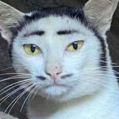 PerspectOut's profile picture. Perspectives!!!