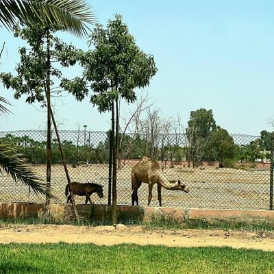 progress8361's profile picture. 