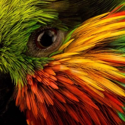 TDW67882553217's profile picture. Bio