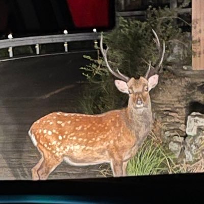 XungDyW2LPe5WCe's profile picture. 見解屋さんです