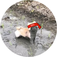 잠 (@submar1ne3) 's Twitter Profile Photo 잠 (@submar1ne3) 's Twitter Profile Photo