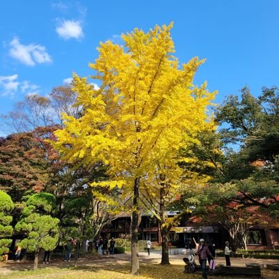 sujanさんのプロフィール画像