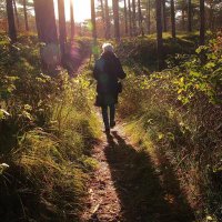 Agnes Brouwer (@aajbrouwer) 's Twitter Profile