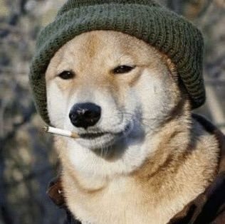 CoolV8973's profile picture. 