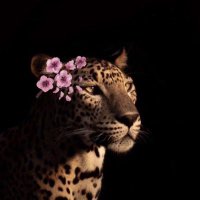 بُشـرا🪞 (@ba_al3mry) 's Twitter Profile