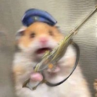 驚いたハムスター (@odoroki_mouse) 's Twitter Profile