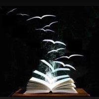 Eng Fouad (@eng_abmohammed) Twitter profile photo