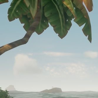 DailyTrees's profile picture. Daily Trees For You