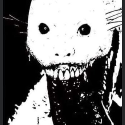 webnd372825's profile picture. 