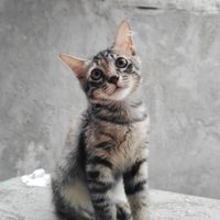 Mention abis dm ya (@urswiliy) 's Twitter Profile Photo Mention abis dm ya (@urswiliy) 's Twitter Profile Photo