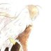 ﹗ Daily ⌗Taffy メ¹ (@dailyheadangel) Twitter profile photo ﹗ Daily ⌗Taffy メ¹ (@dailyheadangel) Twitter profile photo