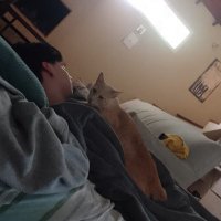 nombre (@agustinamirr) 's Twitter Profile