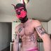 Sam the Tattoo Puppy (Pup Cruise 9/7-12 ๐ข) (@sam__savory) Twitter profile photo Sam the Tattoo Puppy (Pup Cruise 9/7-12 ๐ข) (@sam__savory) Twitter profile photo