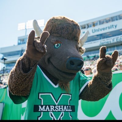 MarcoTheBison's profile picture. Thundering Herd’s #1 Fan. #WeAreMarshall
