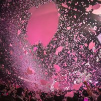 しーろ (@siiro_camera) 's Twitter Profile