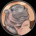 MOODENGETH (@moodengcn) Twitter profile photo MOODENGETH (@moodengcn) Twitter profile photo