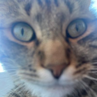 theldentity's profile picture. Building unicorns at https://t.co/75XNoFub4J