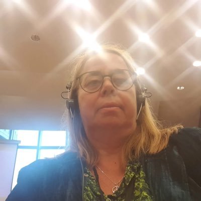 Bossar hos Jonas Sjöstedt och Hanna Gedin i EU-parlamentet.