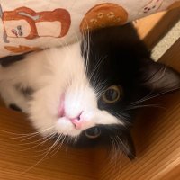 108 (@kjpure1_ymdryo) Twitter profile photo