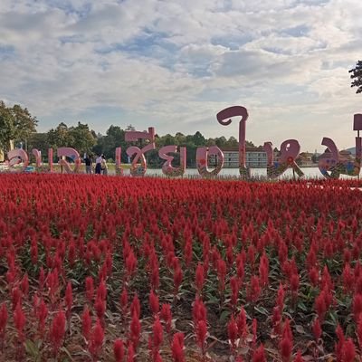 Check out my free substack for Thailand travel reviews and tips.
https://t.co/4aMGyQd3Ep