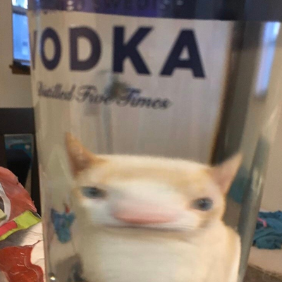 W_yu_ish's profile picture. 🐈🐈‍⬛