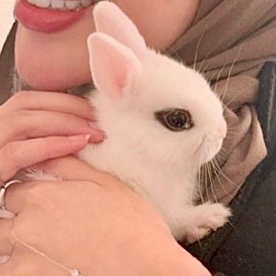 mk_assaf's profile picture. وَاخْفِضْ لَهُمَا جَنَاحَ الذُّلِّ مِنَ الرَّحْمَةِ وَقُلْ رَبِّ ارْحَمْهُمَا كَمَا رَبَّيَانِي صَغِيرًا