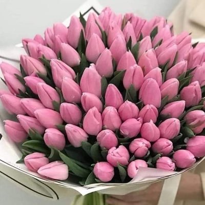 Alexandra612354's profile picture. 