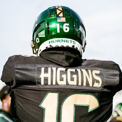 Kaleb Higgins Profile