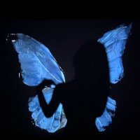 Lu🦋 (@5n__e) 's Twitter Profile