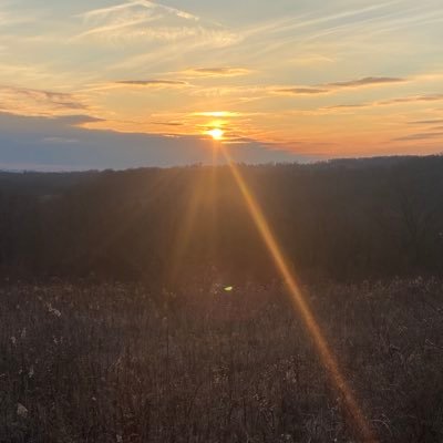 csb3133's profile picture. 