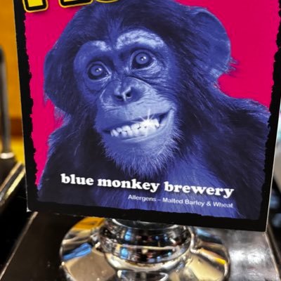 Bluemonkey2025's profile picture. 