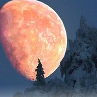 Mahmut BAYRAK (@mahmutbayrak2) Twitter profile photo
