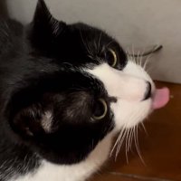 Verooo (@veroq77) 's Twitter Profile Photo Verooo (@veroq77) 's Twitter Profile Photo