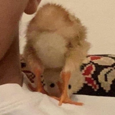 bababさんのプロフィール画像