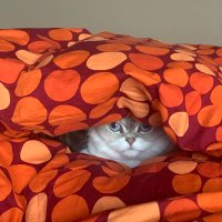 Inga (@i_inga30) 's Twitter Profile