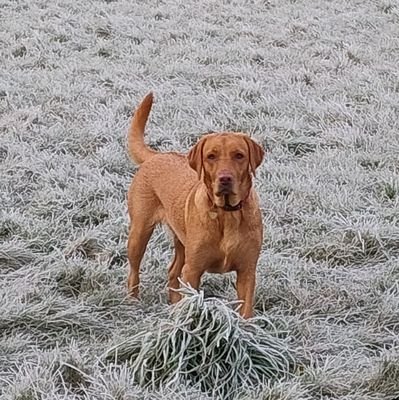 kpreetam's profile picture. 