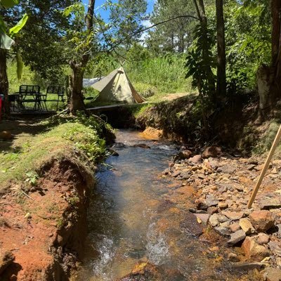 ng020532142648's profile picture. 