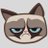 Grumpy Cat Coin (OFFICIAL) avatar