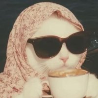 Olcvx (@olcvx12) 's Twitter Profile