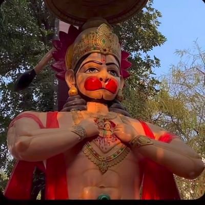 ShubHammerr's profile picture.