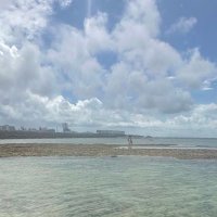 押忍 (@tnakadayo) 's Twitter Profile