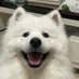 นโม ت♪ (@kengeng95) Twitter profile photo นโม ت♪ (@kengeng95) Twitter profile photo