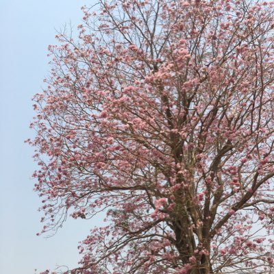 ifeanyi_fr2637's profile picture. 