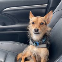 KingTurtle (@kevinma76466023) 's Twitter Profile