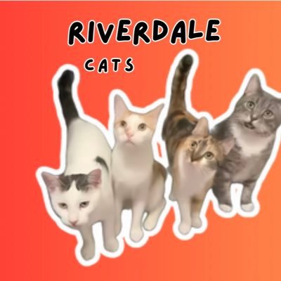 Riverdale_Cats1's profile picture. 