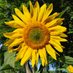 AnnieOakleyVT (@annieoakleyvt) Twitter profile photo AnnieOakleyVT (@annieoakleyvt) Twitter profile photo