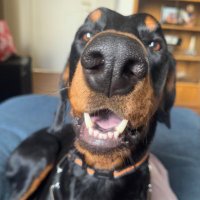Charly (@charly_spark) 's Twitter Profile