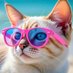 BeachyCatGirl (@beachycatgirl) Twitter profile photo BeachyCatGirl (@beachycatgirl) Twitter profile photo