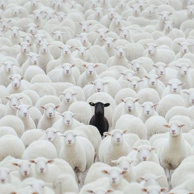 groleau_matt's profile picture. Christian, dad, entrepreneur/ Ancestral building technique lover /Hemp/ believer in blockchain decentralized financial ecosystem